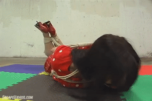 xsiteability.com - Alexis Hogtied Ball Gagged thumbnail